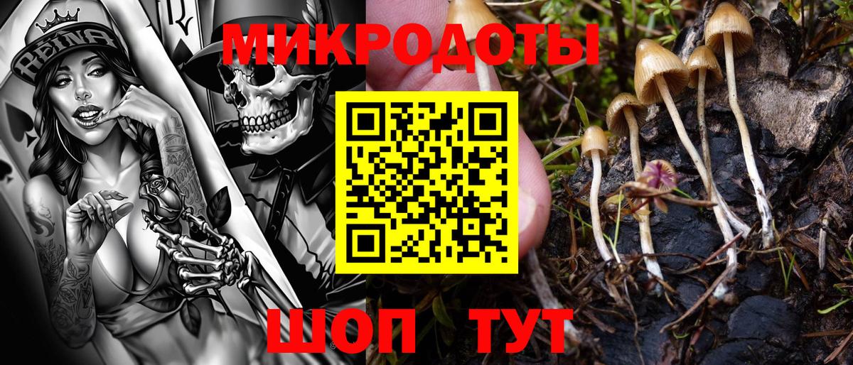 Галлюциногенные грибы MAGIC MUSHROOMS  Вход с VPN  Шарыпово 